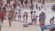S18 E8: Bondi Rescue