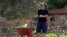 S28 E36: A-maze-ing Verge Gardens & Tomato Tips And Tricks