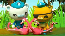 S4 E15: Octonauts and the Flamingos
