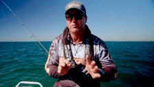 S6 E3: Step Outside with Paul Burt