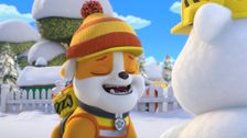 S2 E21: The Crew Builds a Winter Wonderland; The Crew Builds a Giant Snow Squirrely Whirly