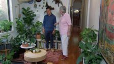 S28 E4: Indoor Plants, The Leafy Lounge & Splitting Beehives