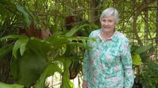 S33 E25: Edible Blooms