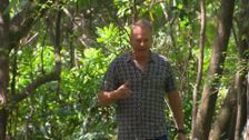 S2021 E3: Great Getaways