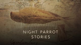 Night Parrot Stories