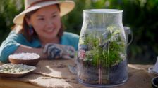 S1 E13: Making Mini-Climates