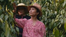 S1 E2: Saloma