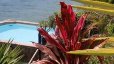 S28 E5: Harbourside Perfection, Japanese Gardens & Inorganic Mulch