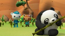 S1 E12: The Octonauts and the Bamboo Rescue