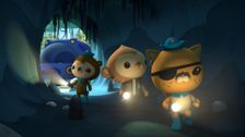 S1 E16: The Octonauts and the Giant Weta