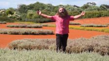 S34 E6: Gardening Australia