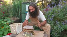 S31 E26: Gardening Australia