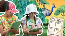 S2 E15: Rainforest Bingo