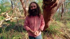 S29 E34: Gardening Australia