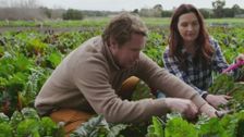 S2 E9: Freshly Picked with Simon Toohey