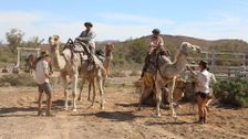 S1 E6: Cameleers - The Original 'Ghan' Trains