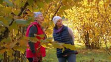 S28 E23: Edible Perennials, Pruning Fruit Trees & Why pH Is So Important