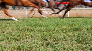 Flashback - Werribee Cup