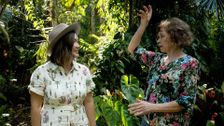 S35 E29: Spring: Tropical Treasures & Joyful Gardens