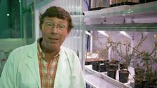 S30 E28: Gardening Australia