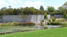 S30 E40: Gardening Australia