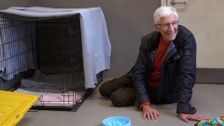 S11 E3: Paul O'Grady: For the Love of Dogs