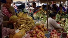S2 E7: Food & Travel Part 2
