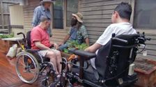 S28 E9: Carrick Hill Garden, Accessible Gardens & Multiplying Plants