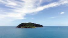 S5 E18: Eastern Kuku Yalangi Country, Cape Tribulation