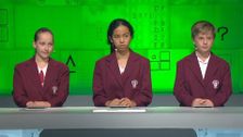 S19 E56: It's Academic