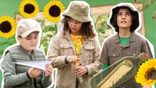 S2 E16: Garden Explorer