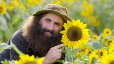 S36 E3: Autumn: Cheery Sunflowers & Wonderful Witlof