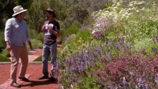 S32 E6: Gardening Australia