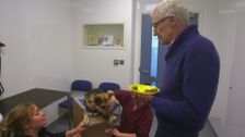 S6 E7: Paul O'Grady: For the Love of Dogs