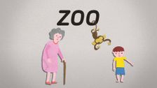 S2 E57: Zoo