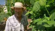 S30 E10: Gardening Australia