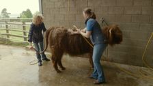 S3 E2: Escape To The Farm With Kate Humble