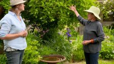 S32 E32: Gardening Australia