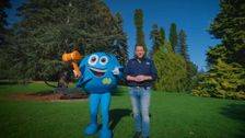 S15 E11: South Aussie With Cosi