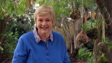 S29 E12: Gardening Australia
