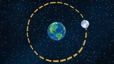 S1 E14: What is Gravity?