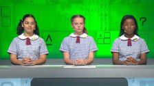 S19 E48: It's Academic
