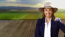 S2026 E15: Landline