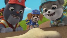 S1 E13: The Crew Builds a Dinosaur Museum; The Crew Builds a Wheelchair Ramp