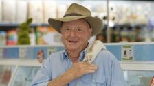 S21 E9: Better Homes and Gardens Summer