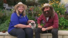 S33 E29: Minna Gilligan