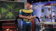 S1 E13: The Buzz on Bugs