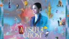 A Useful Ghost