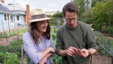 S33 E22: Sophie Kurylowicz