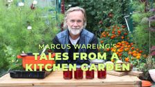 Marcus Wareing's Tales from a Kitchen Garden